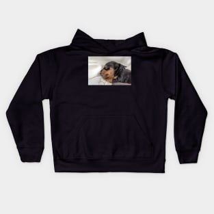 Sleeping puppy Kids Hoodie